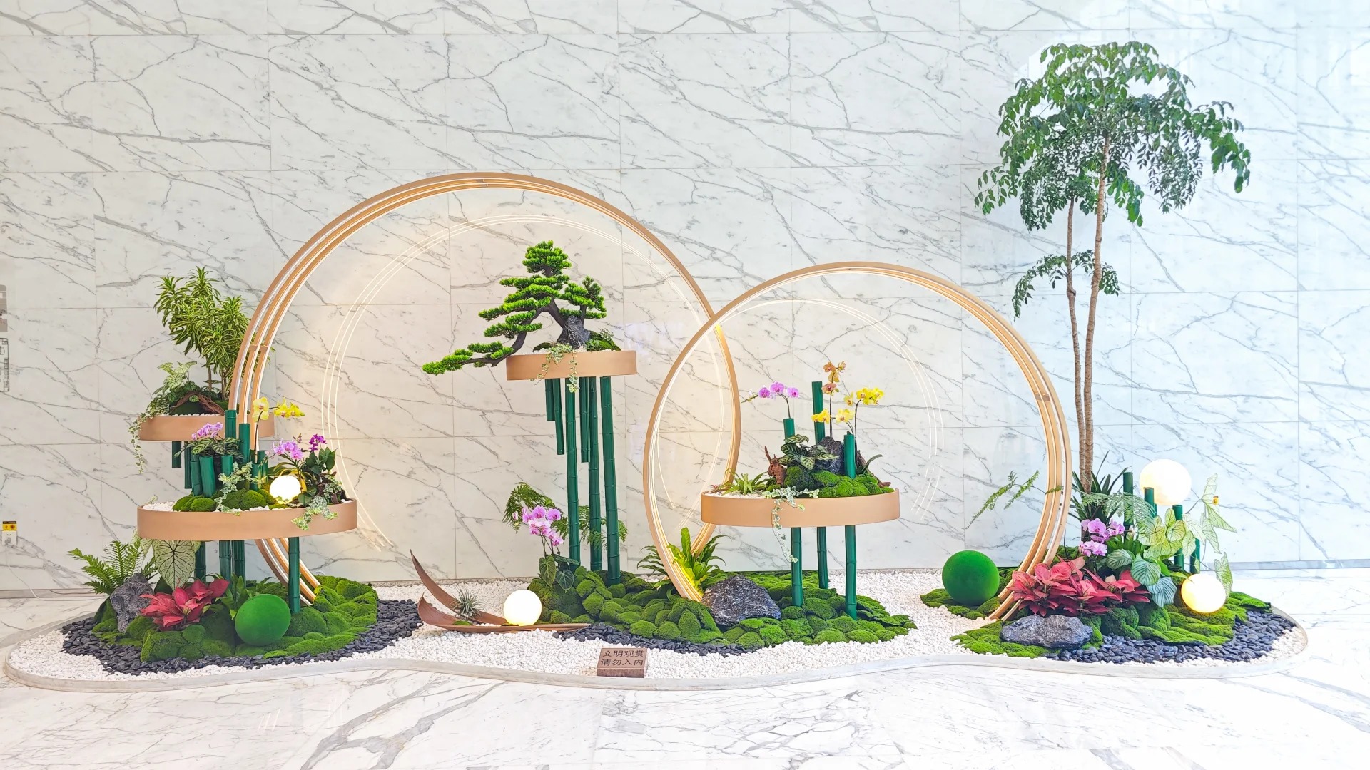 体验宁波江北花卉租赁，拥抱绿色花卉带来的清新